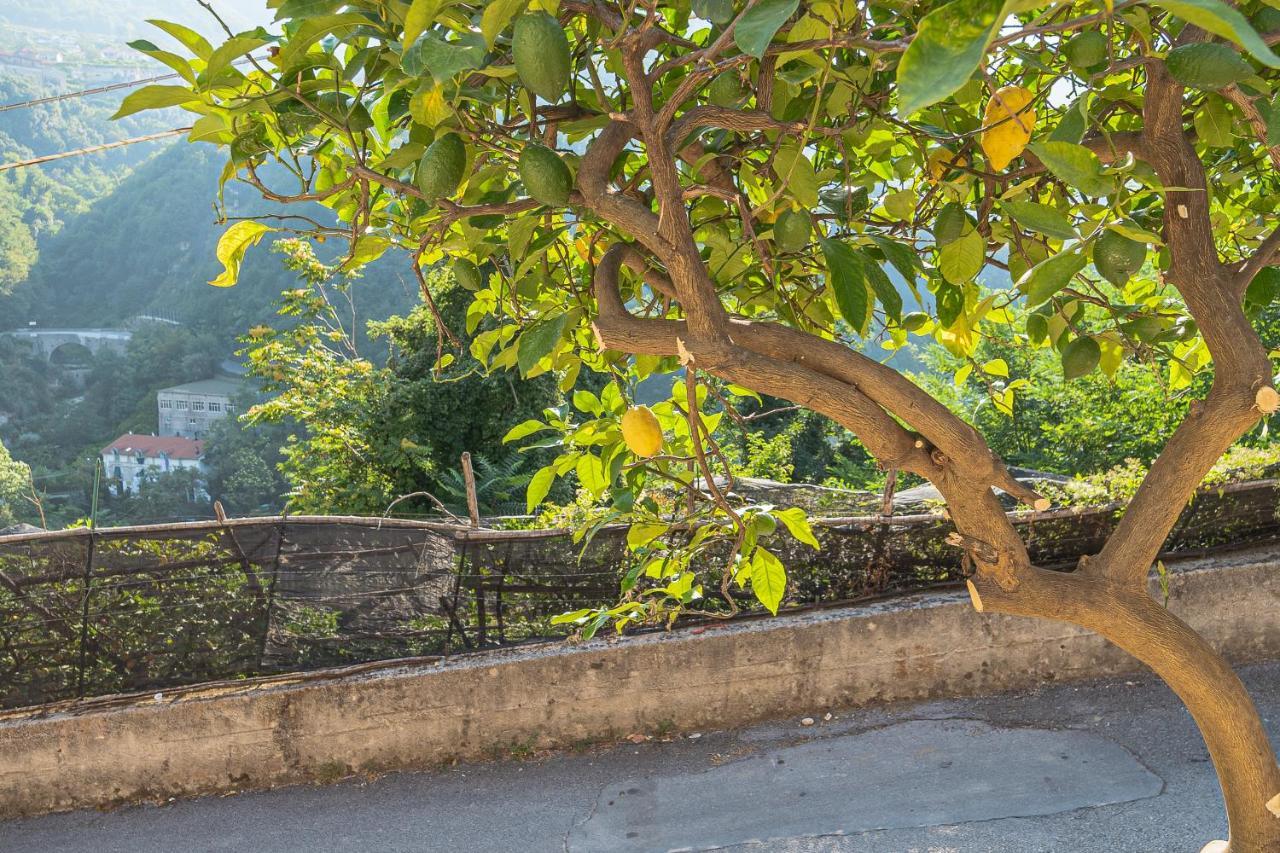 Tra Sole E Limoni Apartments Tramonti Εξωτερικό φωτογραφία